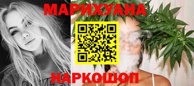тгк Кингисепп