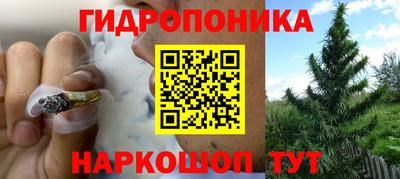 индика Кинель