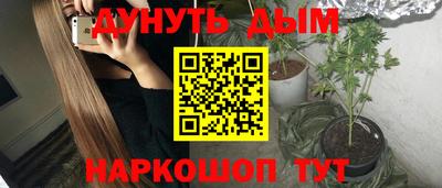 тгк Кингисепп