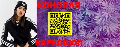 индика Кинель