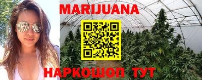 тгк Кингисепп