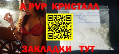 тгк Кингисепп