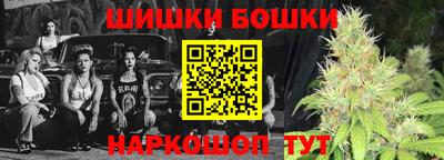 тгк Кингисепп