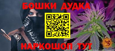 индика Кинель