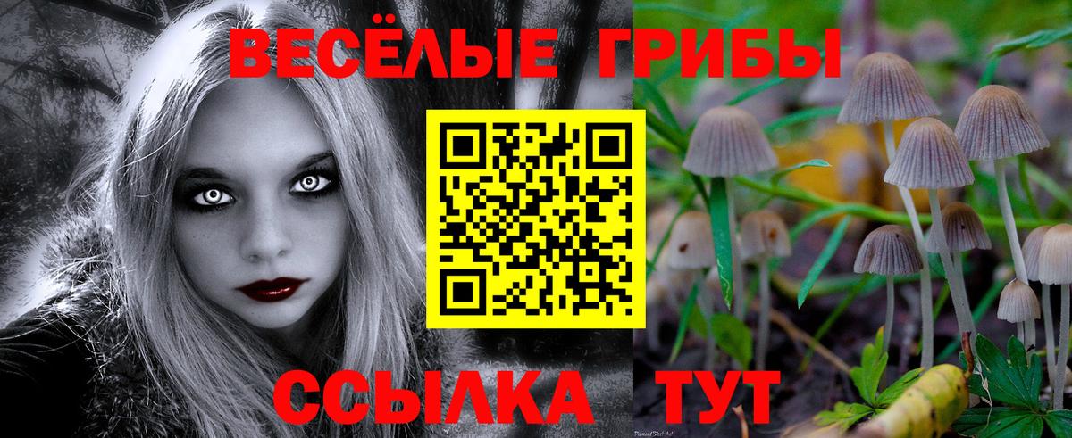 Псилоцибиновые грибы Cubensis Изобильный