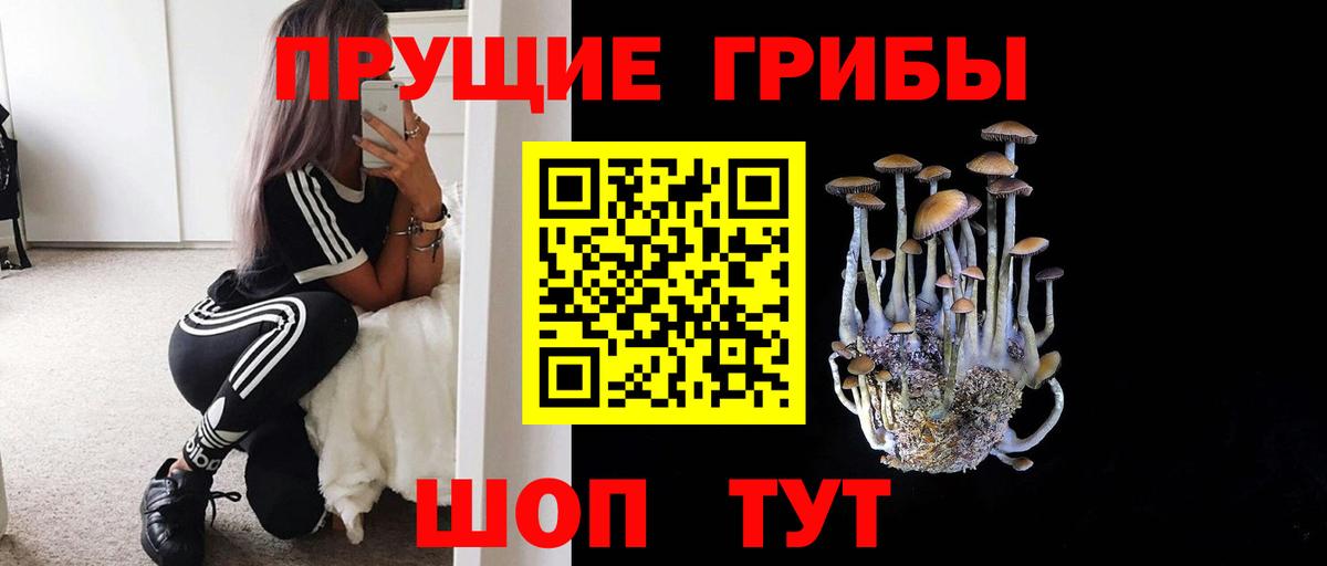 Галлюциногенные грибы MAGIC MUSHROOMS  Вход с VPN  Изобильный 